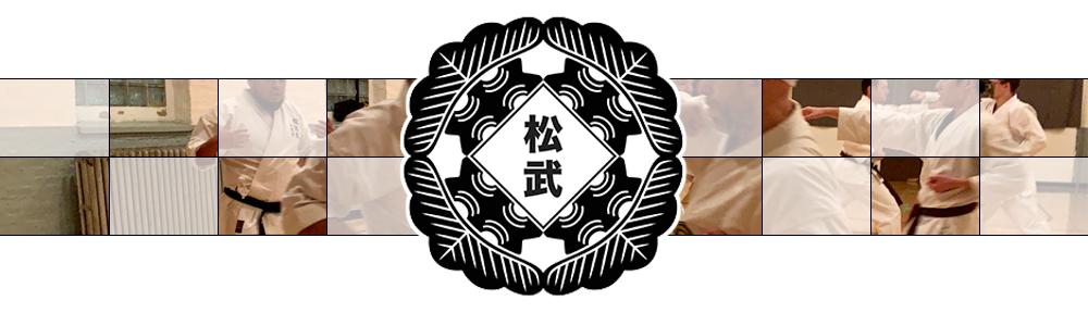 Shobu Karatedo / 松武空手道